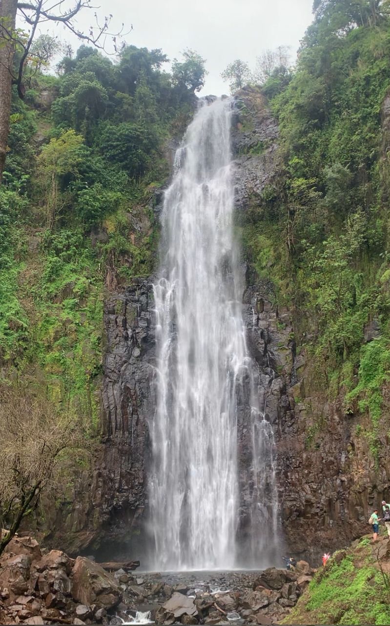 1-Day Materuni Waterfalls & Coffee Tour