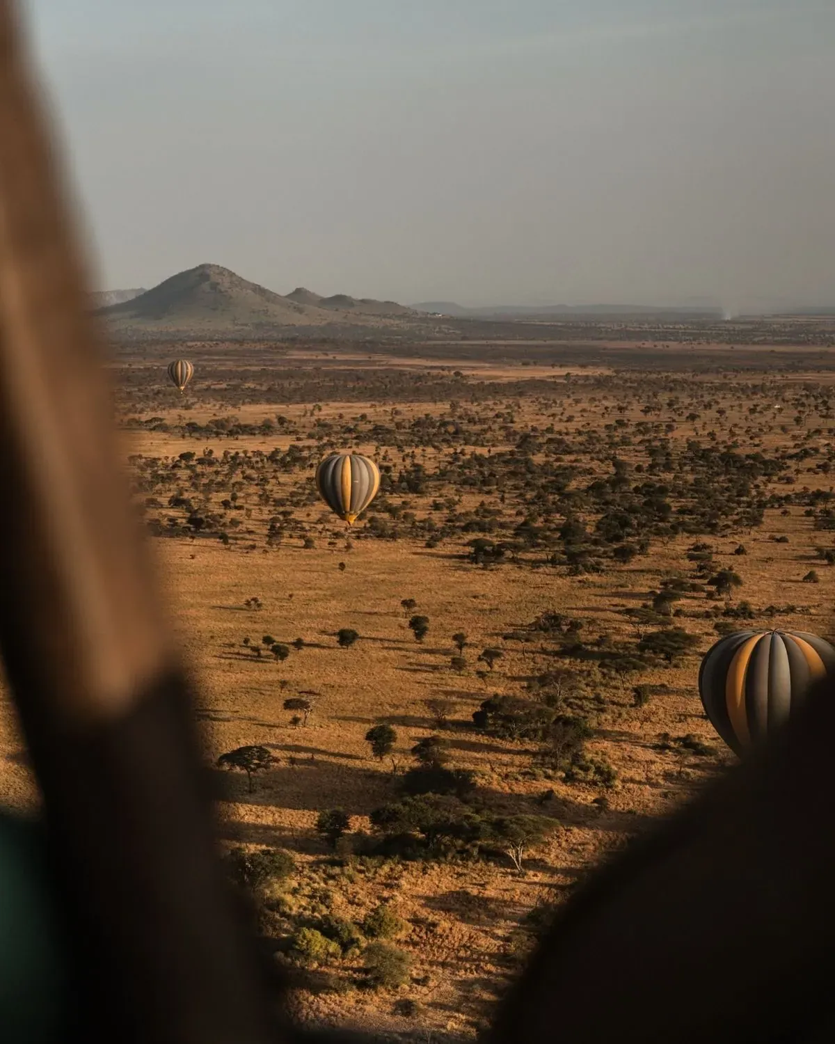 Tarangire, Serengeti and Ngorongoro safari package