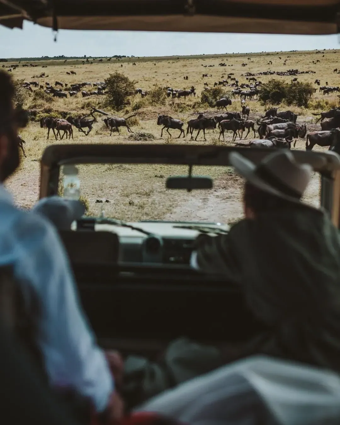 Tarangire, Ngorongoro and Lake Manyara safari package